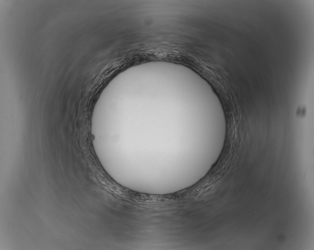 X0000113631105200909181258