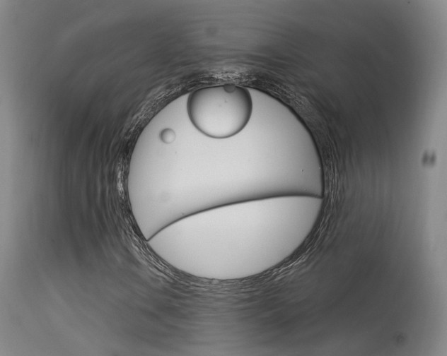 X0000113631106200909181258