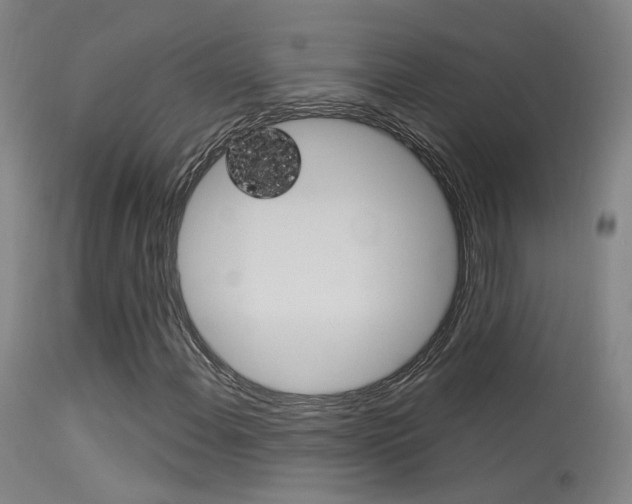 X0000113631108200909181258