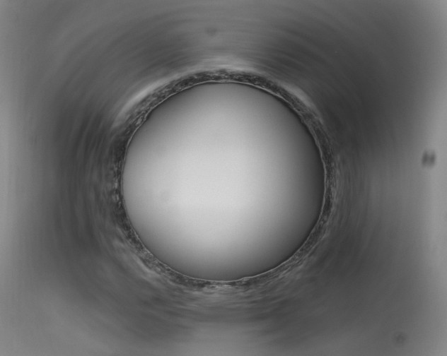 X0000113631112200909181258