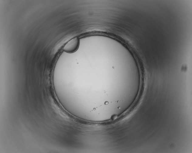 X0000113631113200909181258