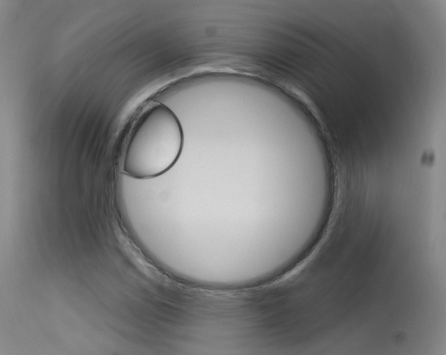 X0000113631114200909181258