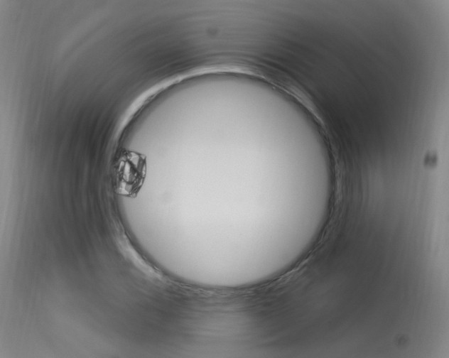 X0000113631116200909181258