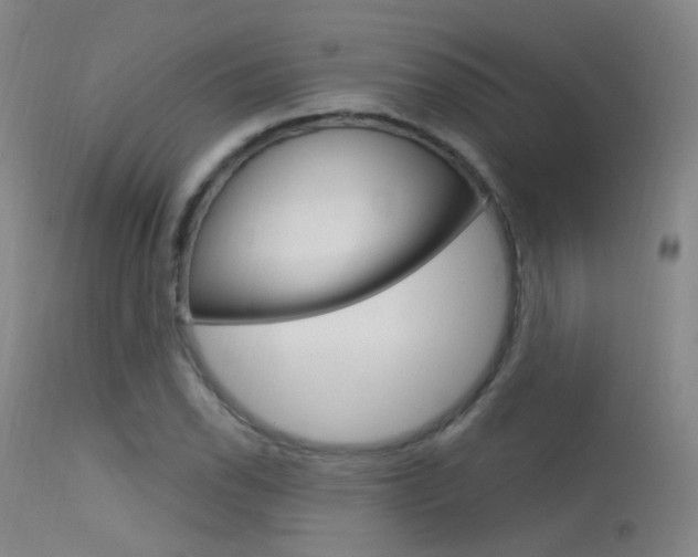 X0000113631118200909181258