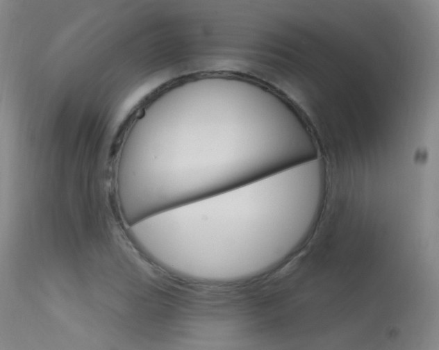 X0000113631119200909181258