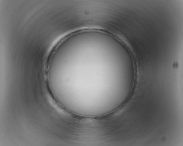 X0000113631124200909181258