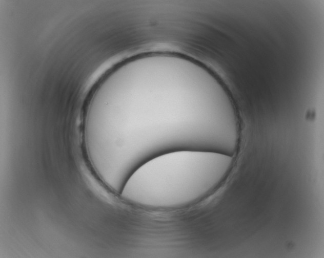 X0000113631126200909181258