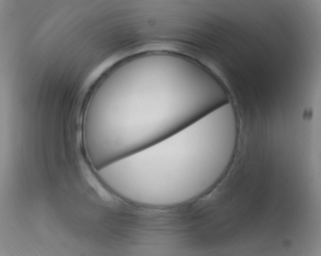 X0000113631127200909181258