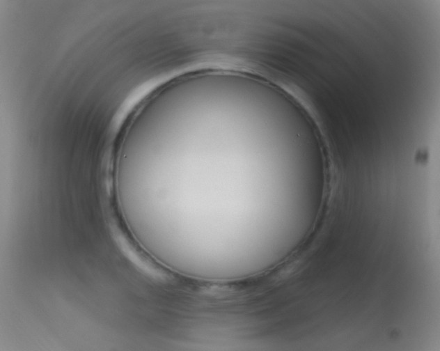 X0000113631128200909181258