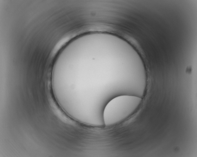 X0000113631130200909181258