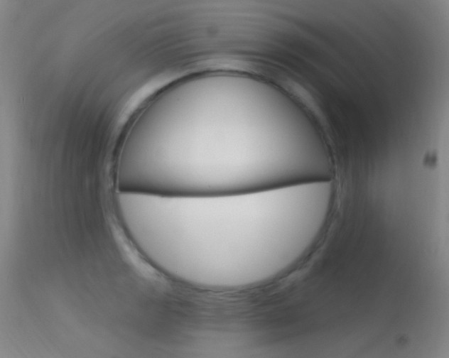 X0000113631133200909181258