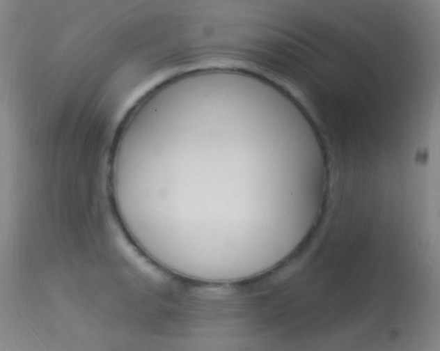X0000113631134200909181258