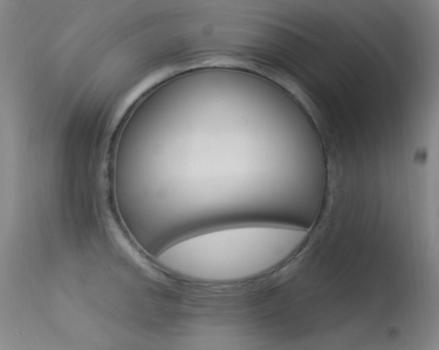 X0000113631142200909181258