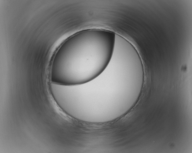 X0000113631144200909181258