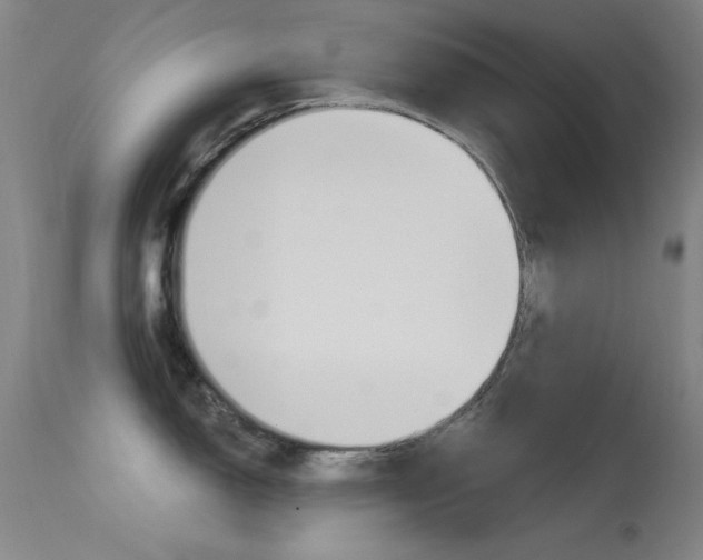 X0000113631150200909181258