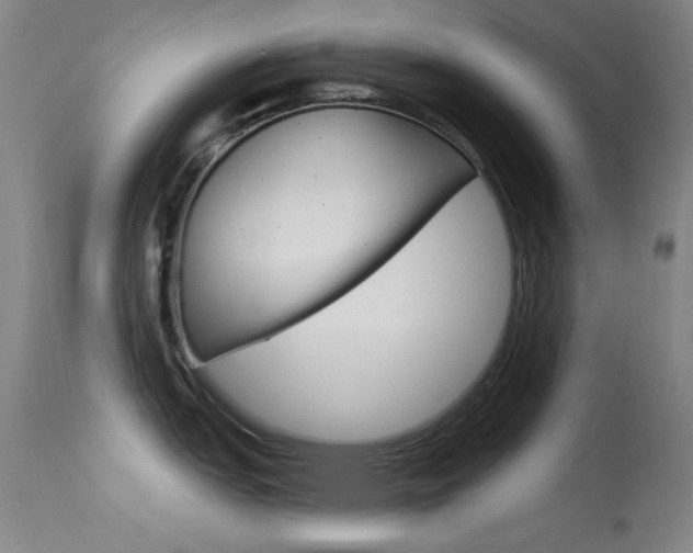 X0000113631151200909181258