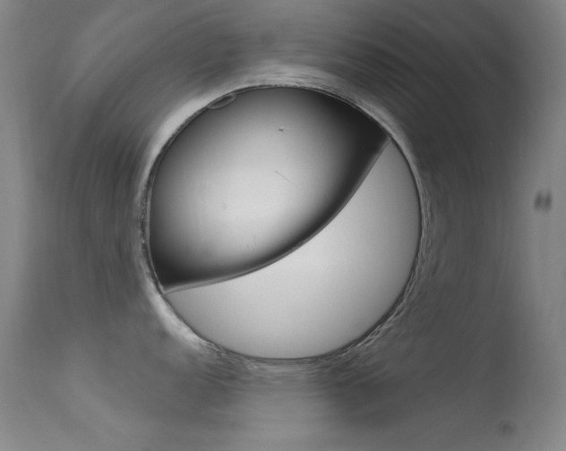X0000113631152200909181258