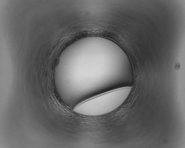 X0000113631153200909181258