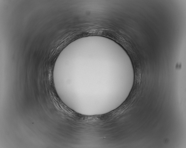 X0000113631154200909181258