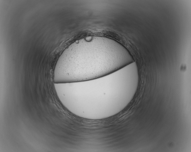 X0000113631156200909181258