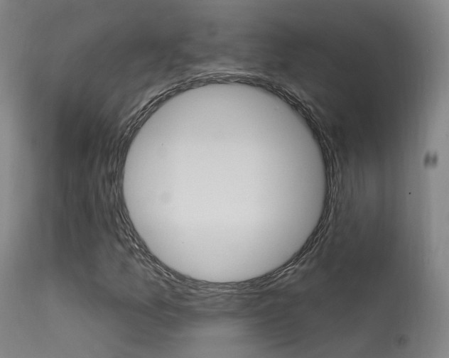 X0000113631157200909181258