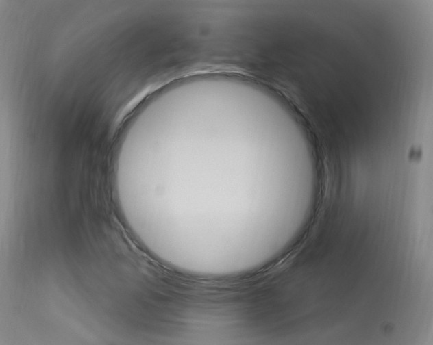 X0000113631165200909181257