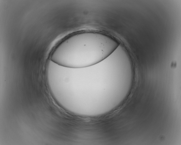 X0000113631168200909181257