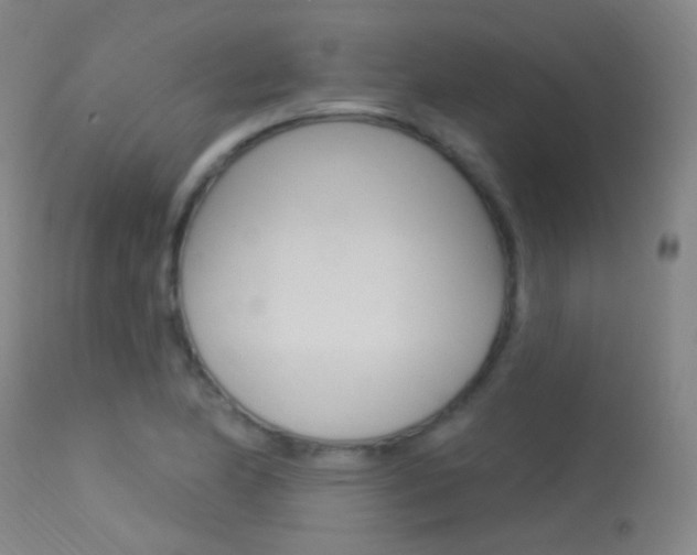 X0000113631174200909181257