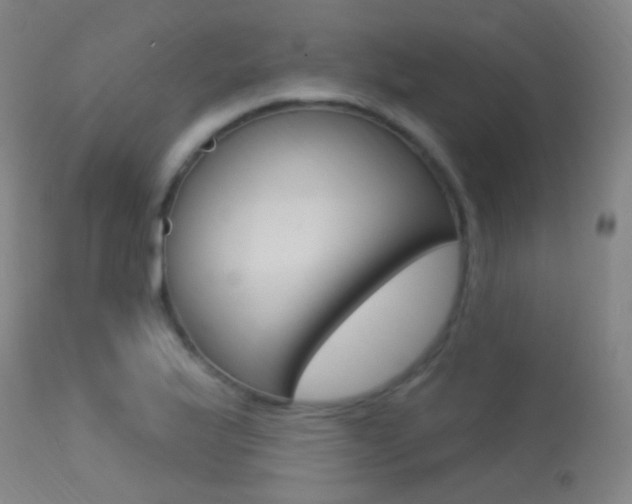 X0000113631175200909181257