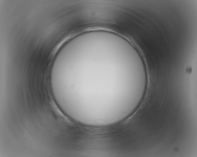 X0000113631189200909181257