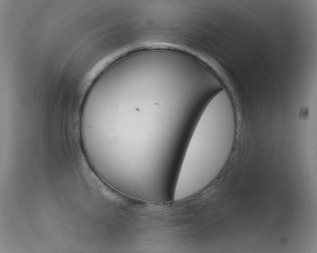 X0000113631191200909181257