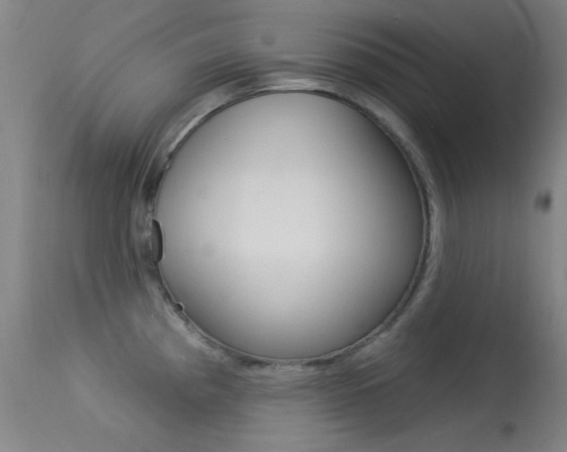 X0000113631193200909181257