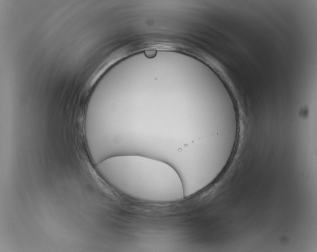 X0000113631194200909181257