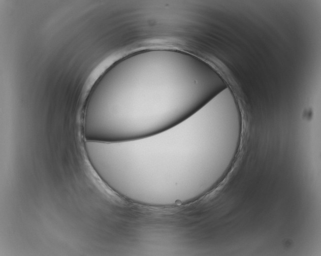 X0000113631196200909181257