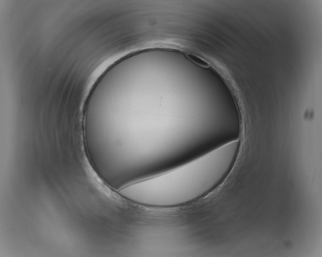 X0000113631200200909181257