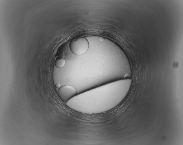 X0000113631201200909181256