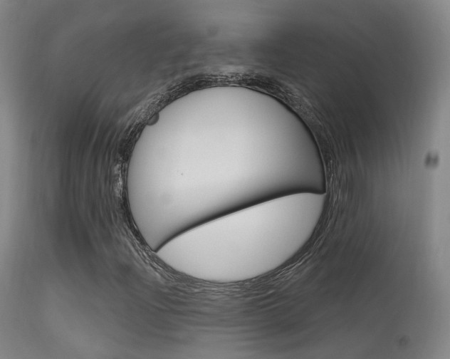 X0000113631204200909181256