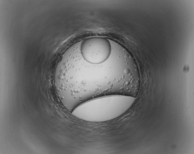 X0000113631205200909181256