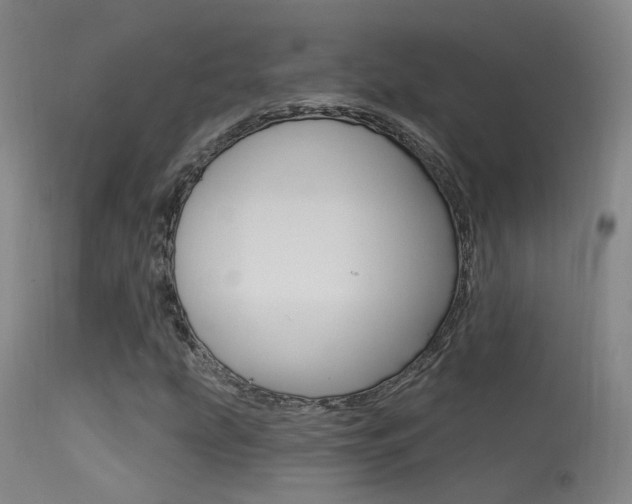 X0000113631207200909181256