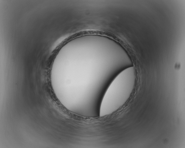 X0000113631208200909181256