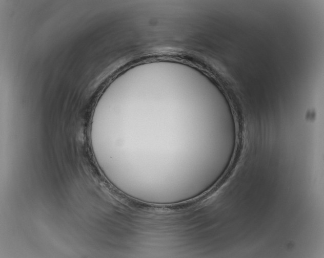 X0000113631209200909181256
