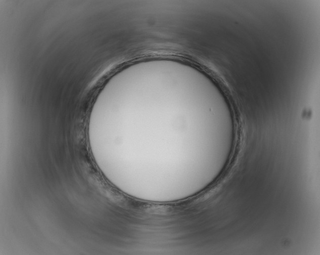 X0000113631211200909181256