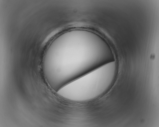 X0000113631213200909181256