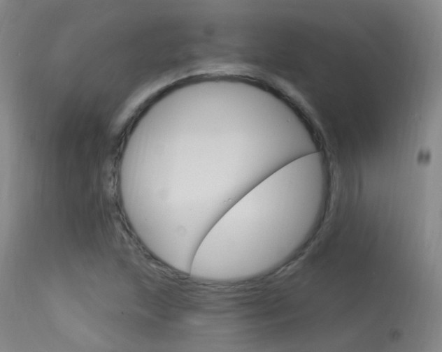 X0000113631215200909181256