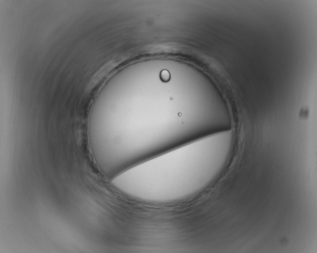 X0000113631217200909181256