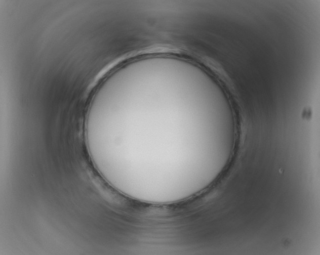 X0000113631220200909181257