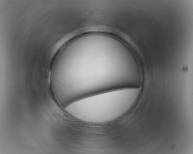 X0000113631221200909181257