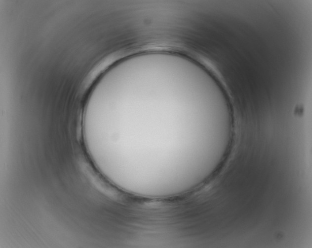 X0000113631227200909181257