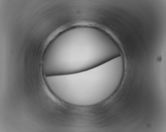 X0000113631237200909181257