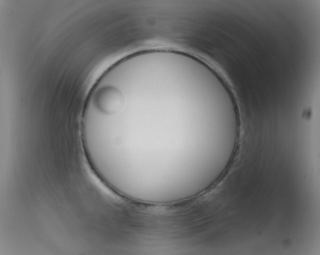 X0000113631239200909181257